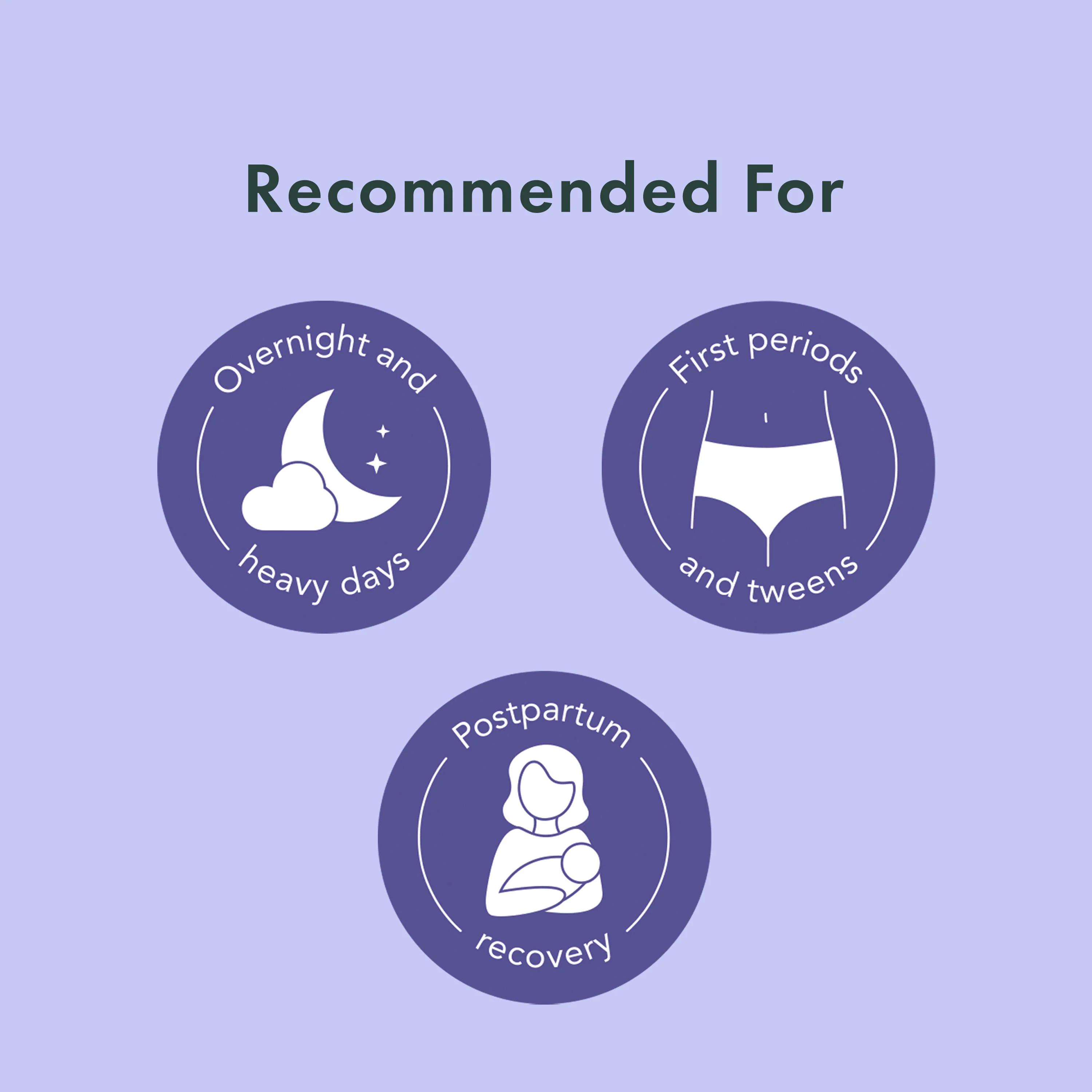 Disposable Period Underwear Made With Organic Cotton - Image 5