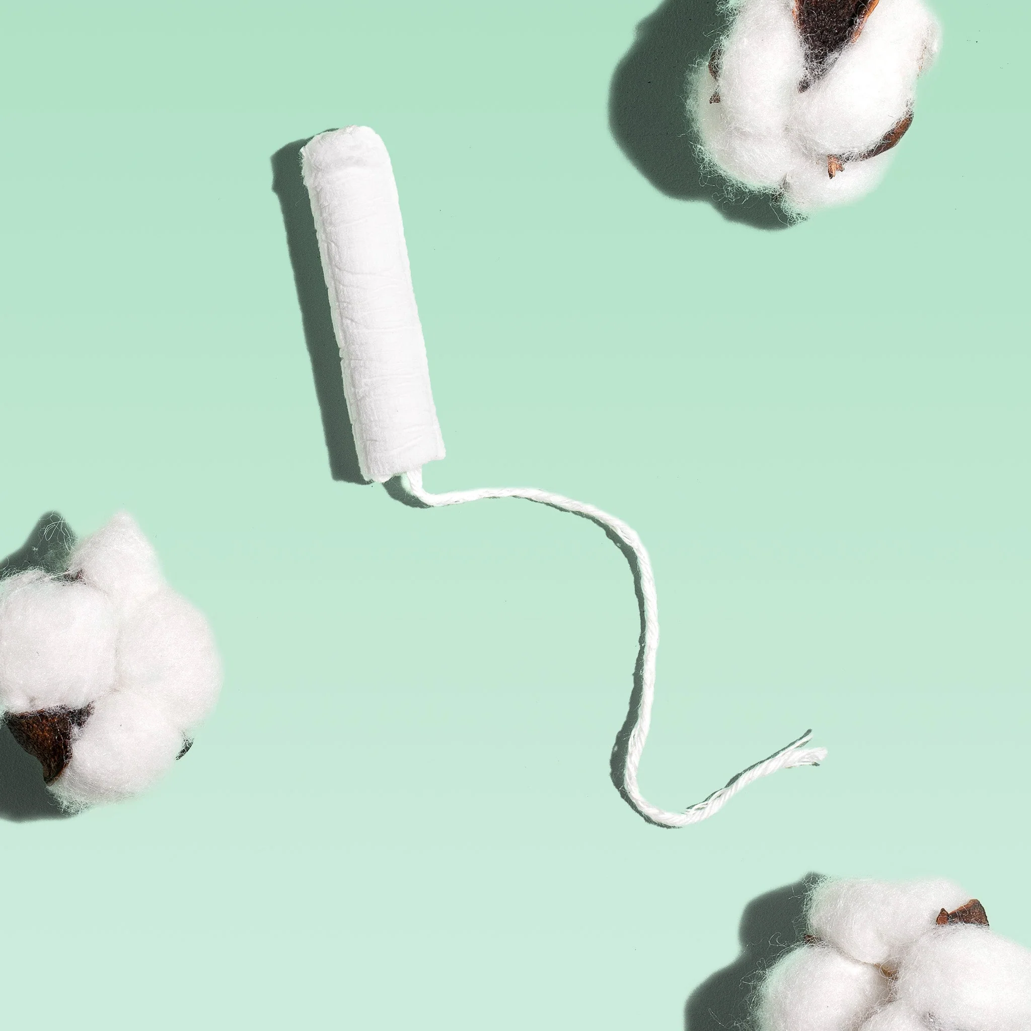 Regular Cardboard Applicator Tampons Made With Organic Cotton - Image 3